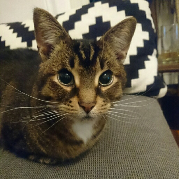 Meet your Posher, Marianna - Picture 3 of 3